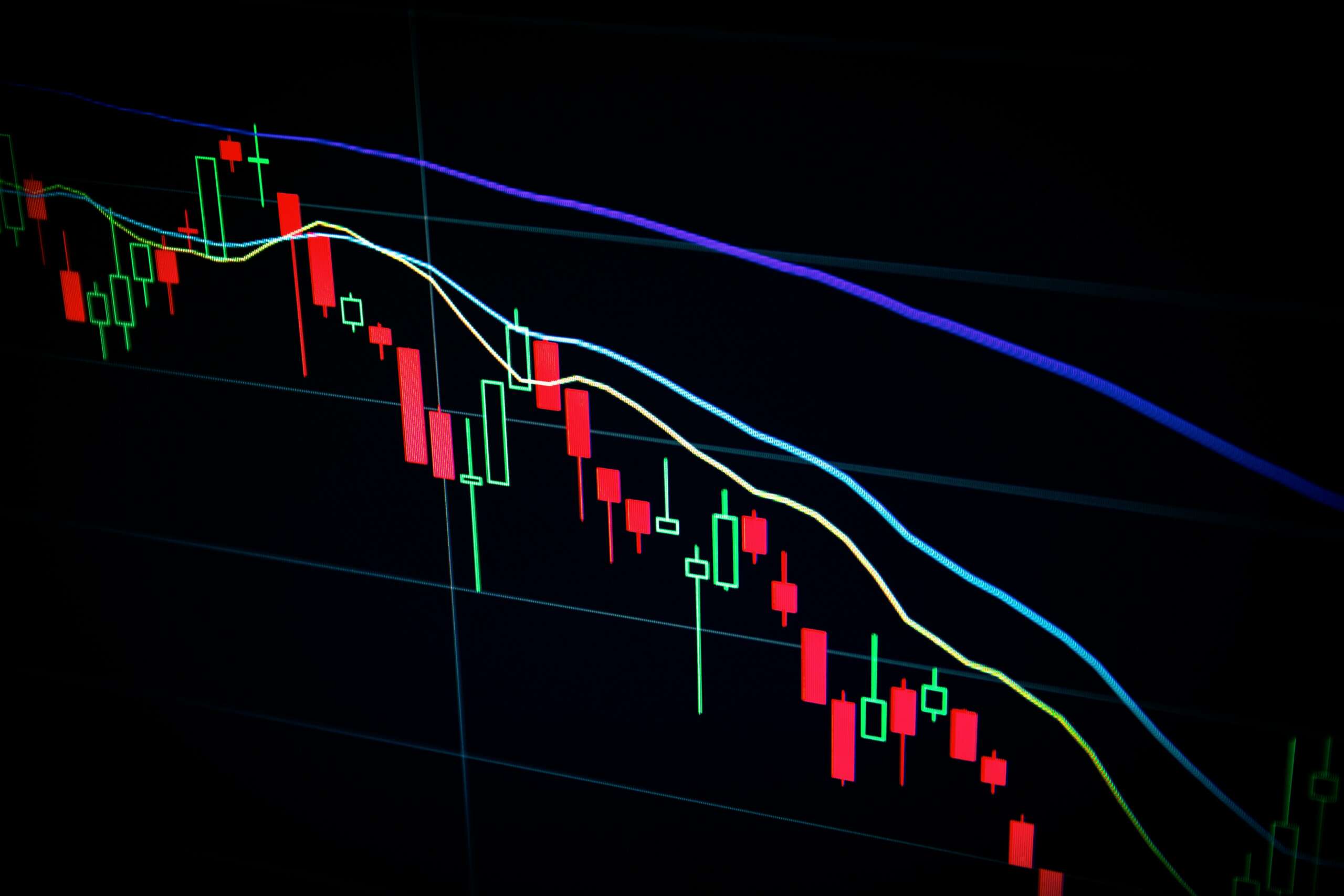 The stock market is having a wobble, especially high momentum growth stocks. Is it game over? Not while globalisation and the technology revolution are still picking up speed.